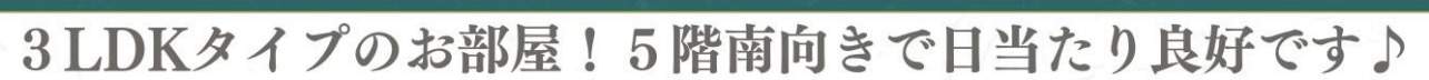 エクセル北浦和中古マンション  仲介手数料無料 