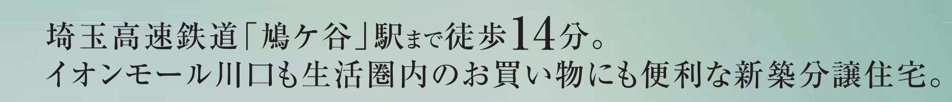 メルディア 川口市大字辻 新築戸建 仲介手数料無料