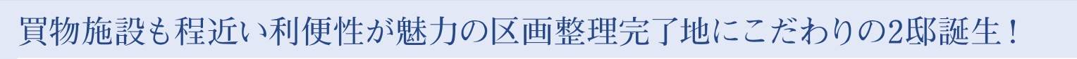 東栄住宅　川口市弥平２丁目 新築戸建 仲介手数料無料 