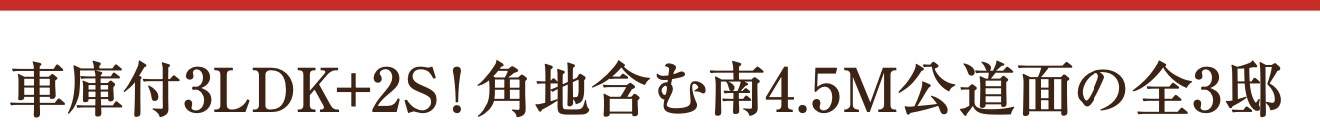 大宮駅歩17分 ブエナタウン新築戸建