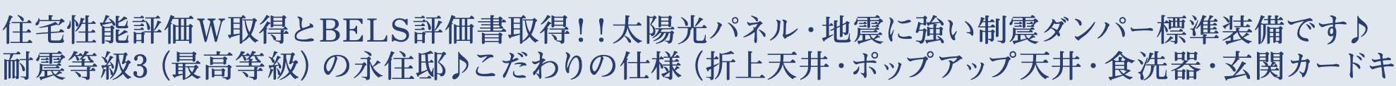 東栄住宅 さいたま市見沼区大和田町2丁目 新築戸建 仲介手数料無料