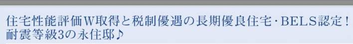 東栄住宅 さいたま市見沼区大字南中丸 新築戸建 仲介手数料無料