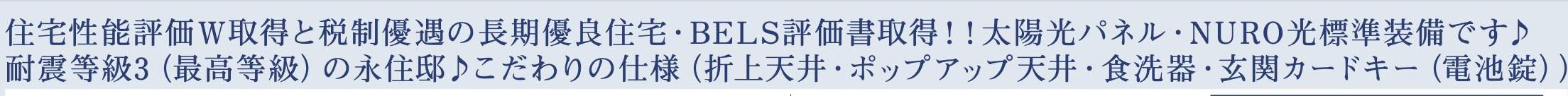 東栄住宅　さいたま市西区三橋５丁目 新築戸建 仲介手数料無料