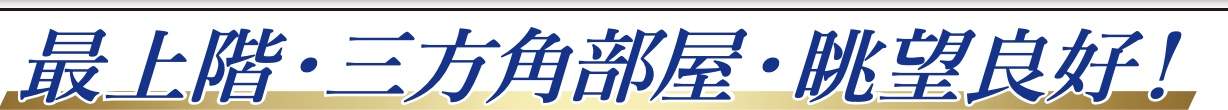 ドラゴンマンション浦和常盤公園参番館中古マンション  仲介手数料無料