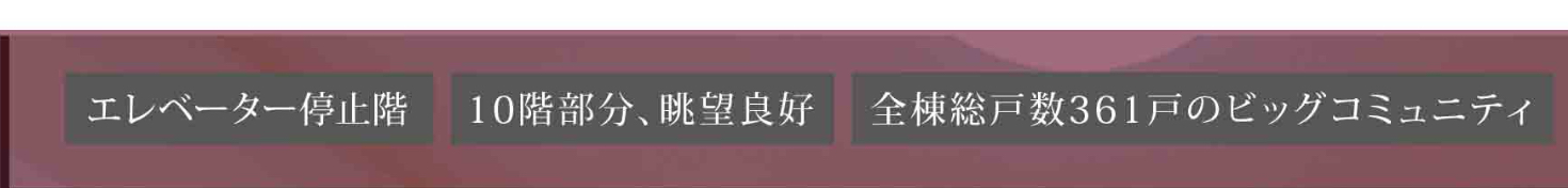浦和白幡東高層住宅1号棟中古マンション 仲介手数料無料