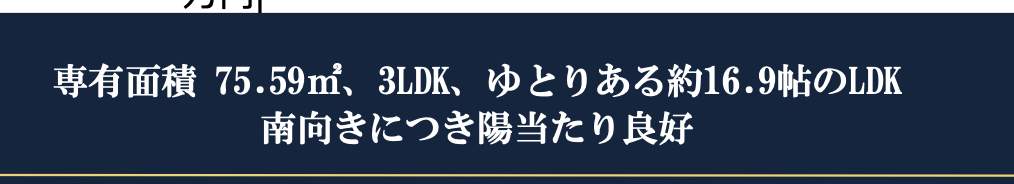 プラウド浦和仲町マークス 仲介手数料無料 中古マンション